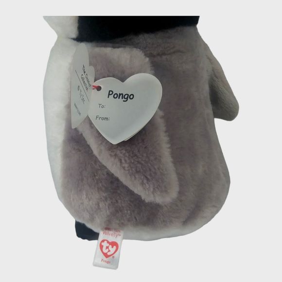 TY Classic Pongo the Penguin Plush 9" Stuffed Bird Animal Toy With Tag - Picture 6 of 10